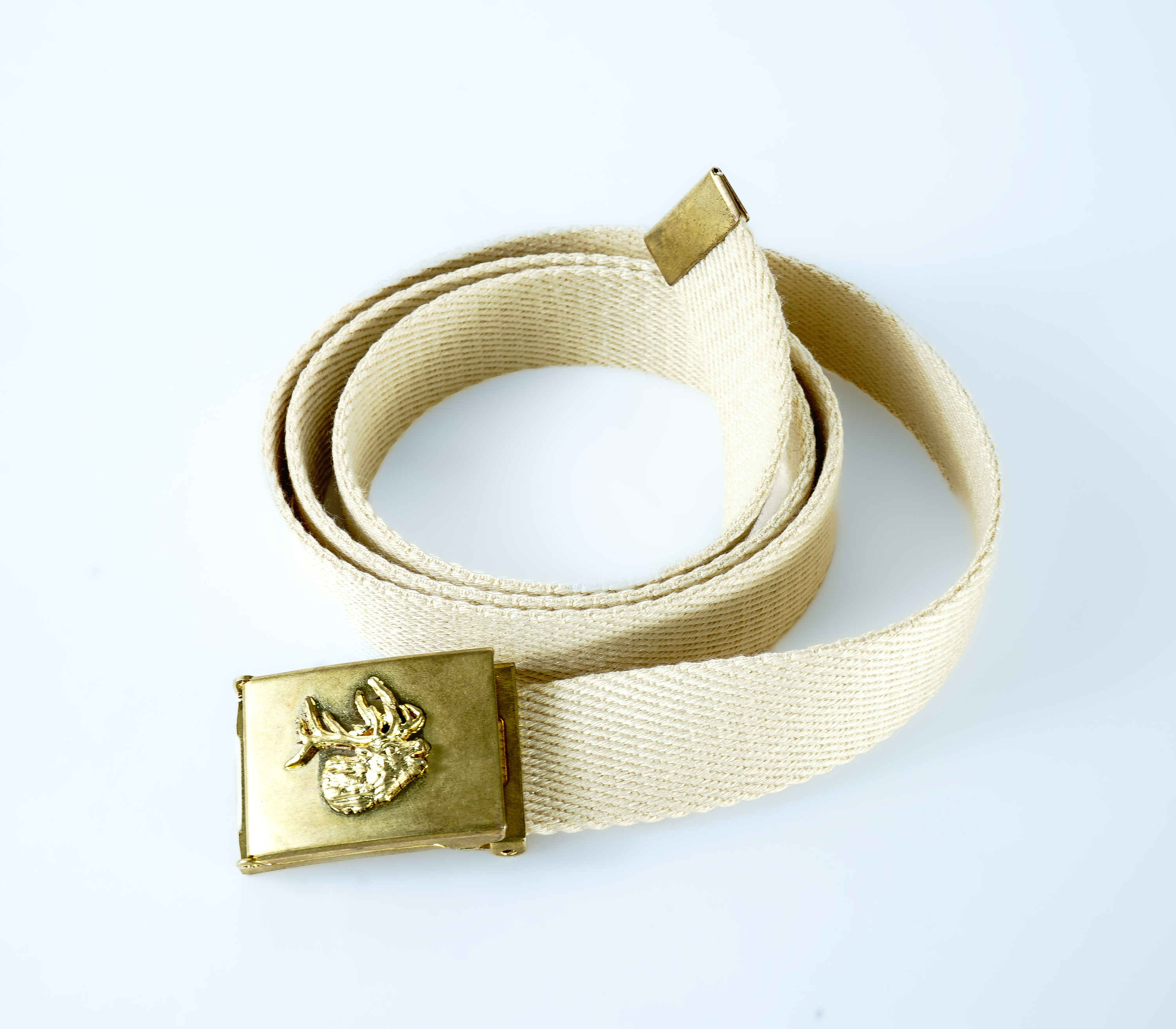 ANDFAMILYS(Aht@~[Y) / GI BELT -DEER-